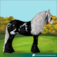 Horse Color:ERROR: UNKNOWN ANOMALY