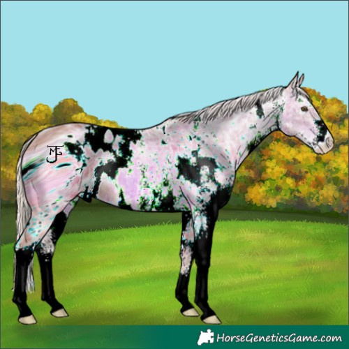 Horse Color:ERROR: UNKNOWN ANOMALY