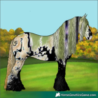 Horse Color:ERROR: UNKNOWN ANOMALY