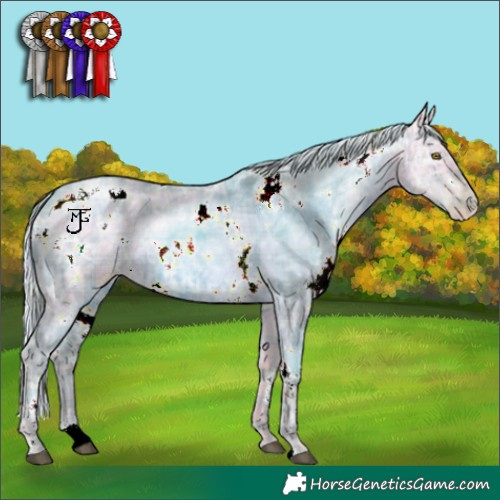 Horse Color:Watercolor Plaid  White Spotted Chocolate Silver Brown Ice Pearl Dun 