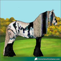 Horse Color:ERROR: UNKNOWN ANOMALY