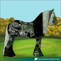 Horse Color:ERROR: UNKNOWN ANOMALY