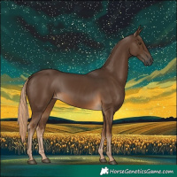 Horse Color:Gray Chocolate Palomino 