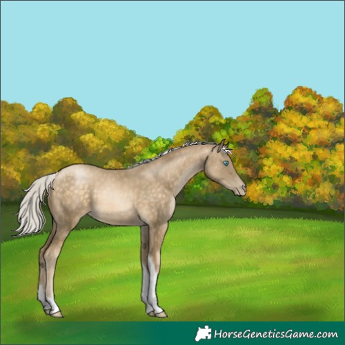 Horse Color:Silver Buckskin Pearl Tobiano 