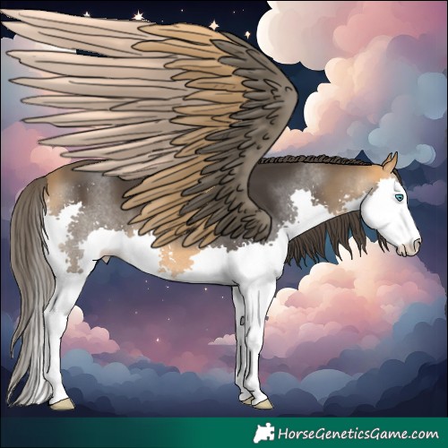 Horse Color:Buckskin Splash 