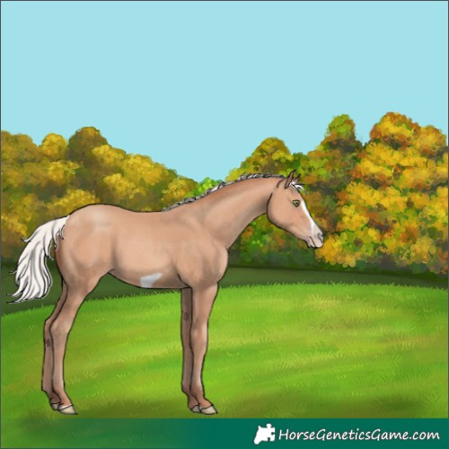 Horse Color:Silver Sable Champagne Frame 