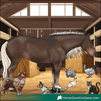 Horse Color:Liver Chestnut Mushroom Tobiano