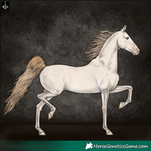 Horse Color:Perlino Dun 