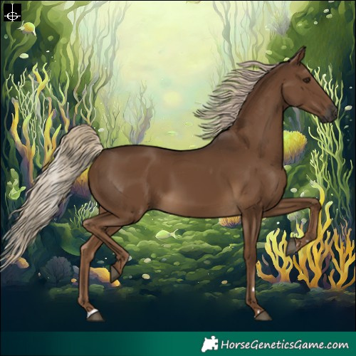 Horse Color:Gray Chocolate Palomino
