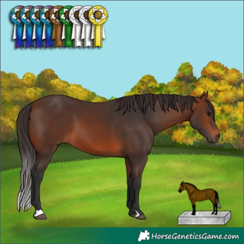 Horse Color:Brown 