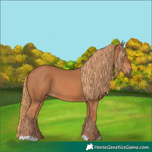Horse Color:Chestnut 