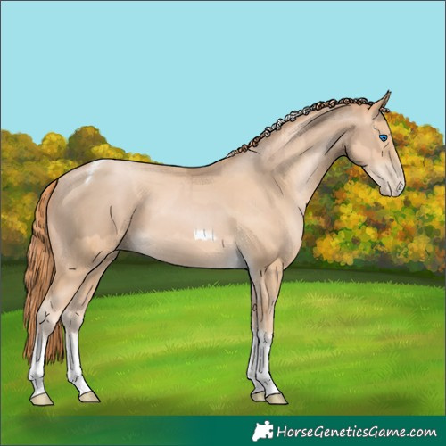Horse Color:Chocolate Palomino Pearl Tobiano Frame  and Buckskin Pearl Tobiano Frame 