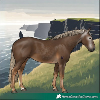 Horse Color:Gray Chocolate Palomino
