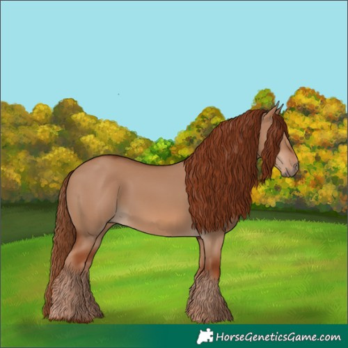 Horse Color:Red Dun 