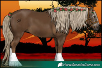 Horse Color:Gray Chocolate Palomino 