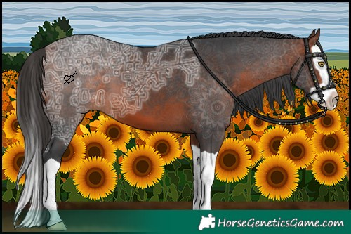 Horse Color:Bay Ice Splash 