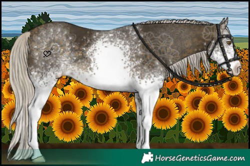 Horse Color:White Spotted Silver Buckskin