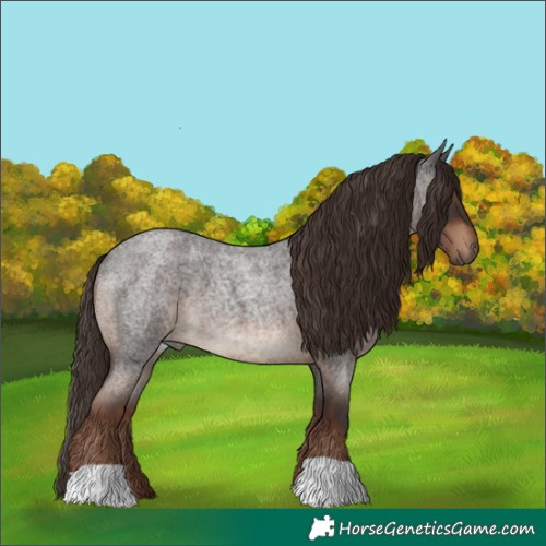 Horse Color:Liver Red Roan