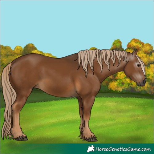 Horse Color:Gray Chocolate Palomino 