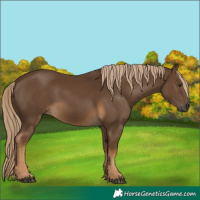 Horse Color:Gray Chocolate Palomino 