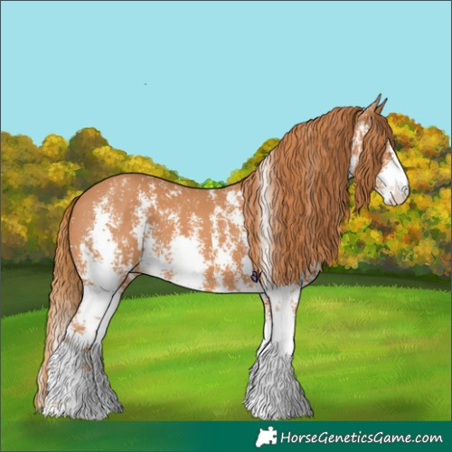 Horse Color:Chestnut Sabino