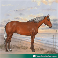 Horse Color:Silver Bay 