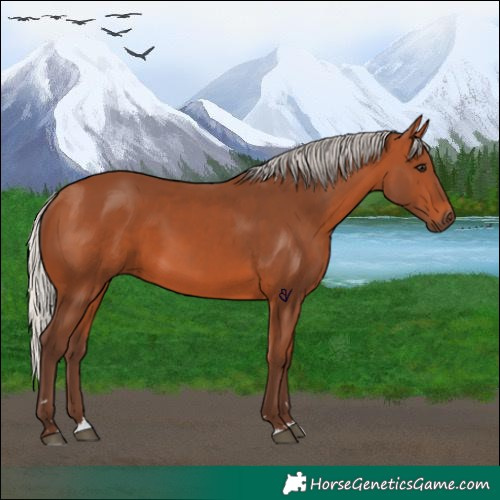 Horse Color:Silver Bay