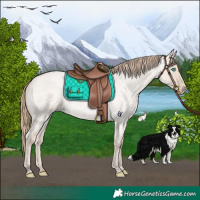 Horse Color:Smoky Creme Roan Dun 