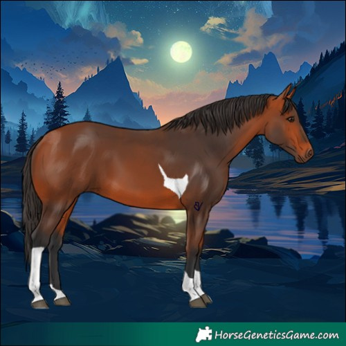 Horse Color:Bay Tobiano 