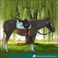 Horse Color:Gray Chocolate Palomino