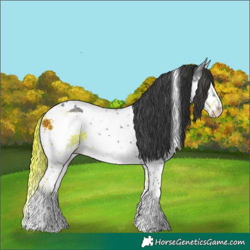 Horse Color:Black Splash Tobiano 