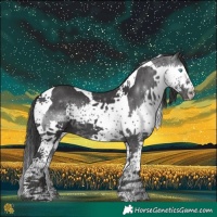 Horse Color:Black Splash Tobiano