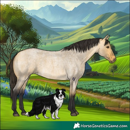 Horse Color:Buckskin Roan Dun