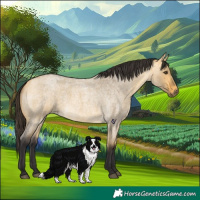 Horse Color:Buckskin Roan Dun 