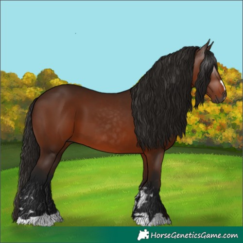 Horse Color:Gray Bay 