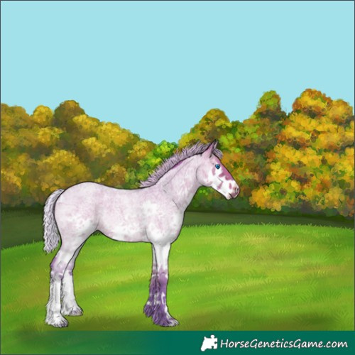 Horse Color:Watercolor Silver Bay Roan Dun Splash 
