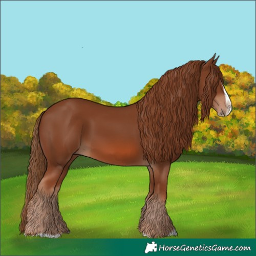 Horse Color:Chestnut Splash Frame 