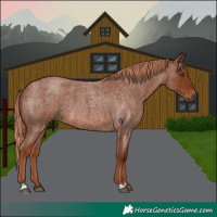 Horse Color:Red Roan 