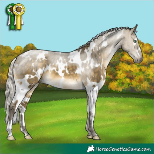 Horse Color:White Spotted Silver Buckskin Dun Mushroom Brindle 