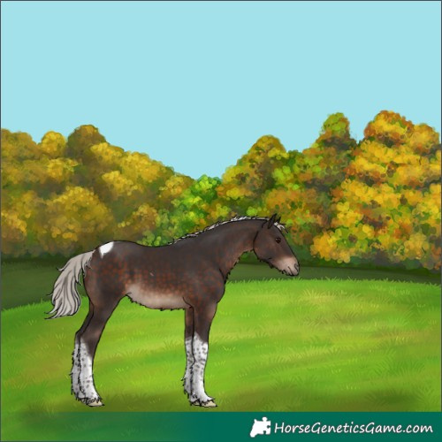 Horse Color:Silver Brown Tobiano 