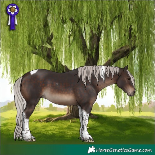 Horse Color:Silver Brown Tobiano 