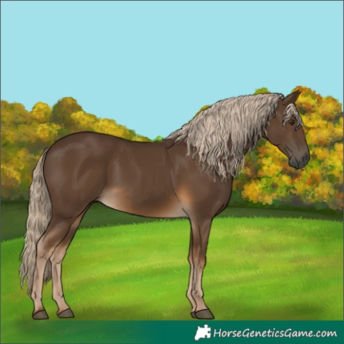 Horse Color:Gray Chocolate Palomino