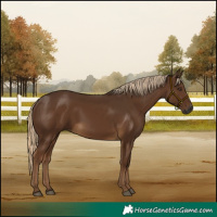 Horse Color:Gray Chocolate Palomino 