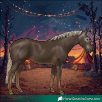 Horse Color:Gray Chocolate Palomino