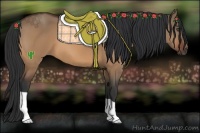Horse Color:Bay Dun
