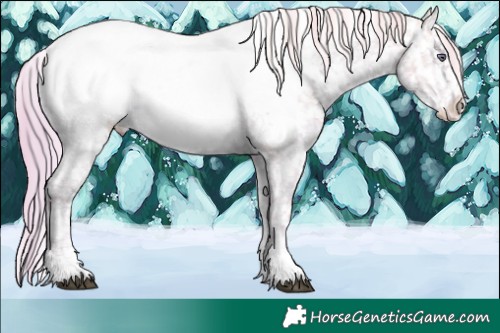 Horse Color:Watercolor Liver Chestnut Chinchilla Ice Sabino Appaloosa 