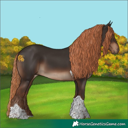 Horse Color:Liver Chestnut Tobiano Rabicano