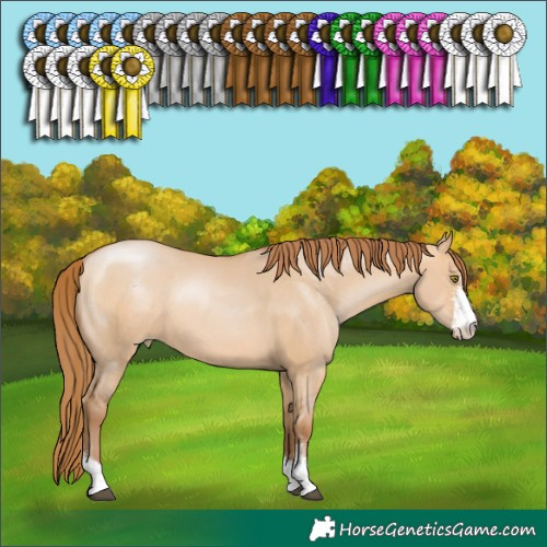 Horse Color:Bay Pearl Dun Sabino 