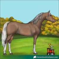 Horse Color:White Spotted Silver Brown Dun Rabicano 