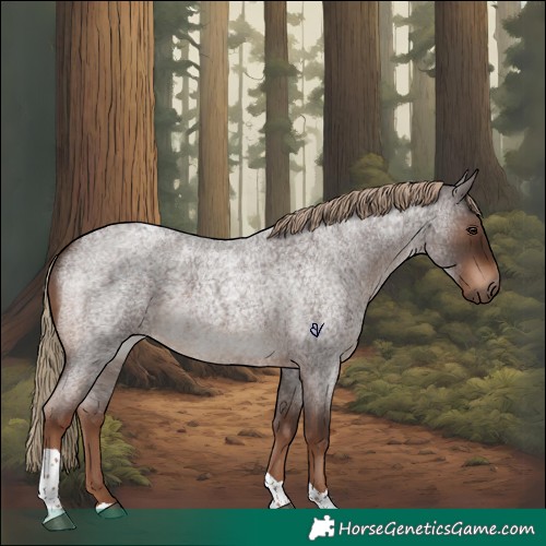 Horse Color:Liver Red Roan Tobiano Rabicano 